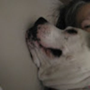 Meet your Posher, Lynne